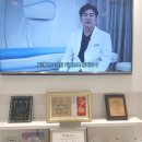 대한하이푸연구회