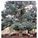 해오름게스트하우스 이미지