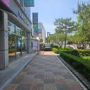 건신대학원대학교 | 대치동 미용실 에코쟈뎅 대치테라스 톤다운염색 후기