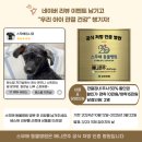 스무해 동물병원 | [스무해 동물병원] 리뷰 쓰고 우리 아이 관절 건강 챙기자!