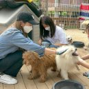 율푸드 Daum카페