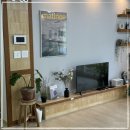 스테이브릴 이미지