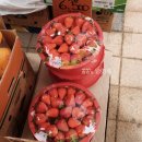 싱싱청과마트 이미지