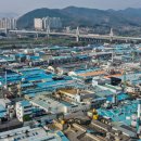 김정화상회 뉴시스