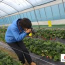 고남농장 이미지