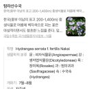 테라타워346 | 교토 힐링 여행