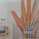 황수진한의원 이미지