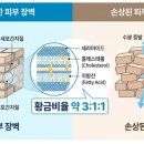 베스트팜약국 이미지
