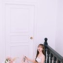 이쁘다 미용 | 남천동애견미용 개, 이쁘다 포메라니안 위생목욕 강아지미용 후기