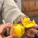 조양펜션 이미지