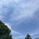 영호골부리식당 이미지