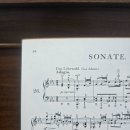 소나타피아노학원 | 치고 싶은 클래식 곡으로 배워서 더 즐거운 인덕원피아노레슨 빈피아노학원 후기