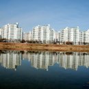 금호강변 이미지