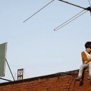 편보승 카카오 검색결과