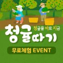 ㈜하이렌트카 이미지