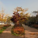 문정근린공원 이미지