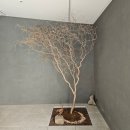 양산제로 이미지