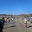 별고을 투 | 경북 마라톤대회 성주참외마라톤 :) 5km반환점 설치도 없고 스탭들 소리지르고 엉망진창이었던 마라톤대회