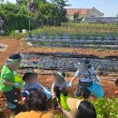 햇님어린이집 이미지