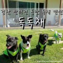 청암마을회관 | 경남 창녕 애견동반 독채 펜션 독독채 4인 4견 방문 후기