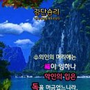 샬롬 Daum카페