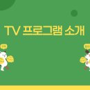 다채로운 삶(퍼스널컬러) 이미지