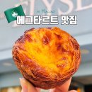 하나로베이커리 | [마카오 에그타르트 맛집] 로드스트로우 vs 엘리씨베이커리 비교 솔직후기