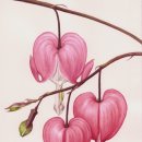 보태니컬 일러스트 이미지