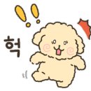 율무네애견 이미지