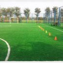 코이디아 이미지