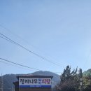 정자나무실비식당