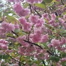 [선별편] 2024년4월20일 토요일 서해랑 이벤트길을 다녀와서! 이미지