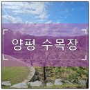 아름다운각게 진주평안점 | 양평 수목장 가격 비교부터 현장 방문까지 실제 이용 후기로 알아보기