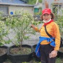 하송1리마을회관 이미지