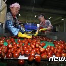 정안영농조합법인 이미지