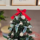 멍보드레 이미지