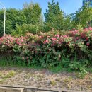 명진해수탕 이미지