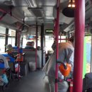 동승농장 이미지