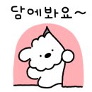 신돈키호테 이미지