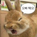 충렬로 | [부산/양산] 트리폰즈하우스 웨딩 하객후기 _ #밝은홀#주차#뷔페