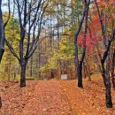 봉학골산림욕장 이미지