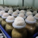 광화문농장 이미지