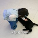 다홍 TV리포트