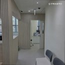 김기혁동물병원 네이버블로그