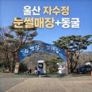 동굴나라편의점