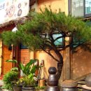 양서친환경도서관 앞 이미지