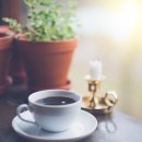 이벤트헤어샵 이미지