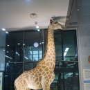 태순농장 | 서대문자연사박물관 후기 (2019년 4월 7일 방문)