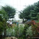 흥부네집 이미지