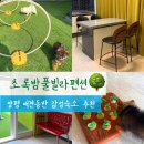라빌라빌라 | 양평 풀빌라, 강아지랑 다녀오기 좋았던 애견동반 감성숙소 초록밤풀빌라펜션